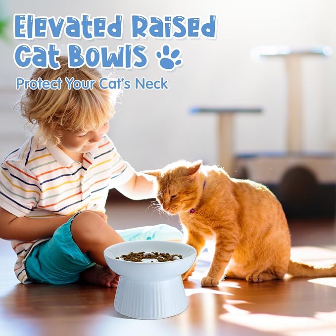 Tioncy 2 Pcs Ceramic Elevated Slow Feeder Cat Bowl, Raised Cat Slow Feeder Bowl, Anti Vomiting for Dry and Wet Food, No Spill High Edge Easy Clean Dishwasher Safe (White,Blue)