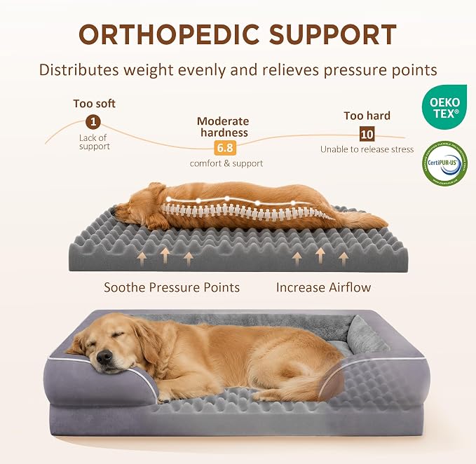 Comfort Expression Orthopedic Dog Beds for Large Sized Dog with Bolster | Waterproof Dog Couch Bed with Washable Cover & Non-Slip Bottom, Supportive Egg Crate Foam Large Pet Bed, 38x25 Inch