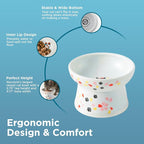 Necoichi Ceramic Elevated Cat Food Bowl (Sakura, Regular Flat)