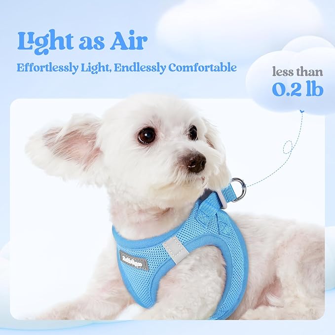 rabbitgoo Dog Harness Small Sized and Leash Set, Step-in Puppy Pet Vest | Light, Soft, Breathable Air Mesh, Easy on and Remove with Hook & Loop, Secure Reflective for Walking, Blue S