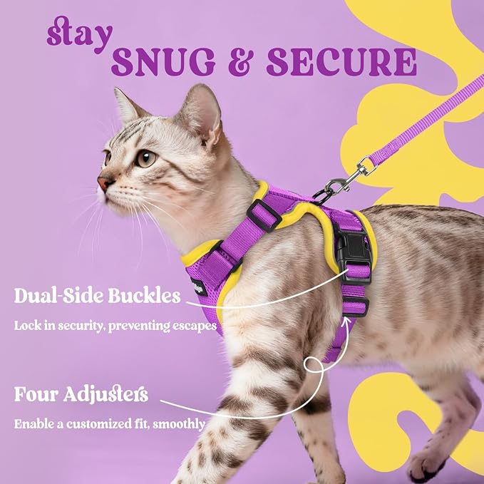 rabbitgoo Cat Harness and Leash Set, Escape Proof Vest, Purple & Yellow | Soft Breathable Mesh, Easy Adjustable Fit, Snap Buckles, Sturdy Clip, Reflective Strips, for Small & Average Cats Walks, Xs