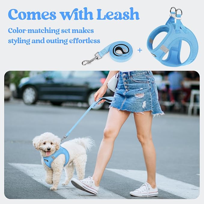 rabbitgoo Dog Harness Small Sized and Leash Set, Step-in Puppy Pet Vest | Light, Soft, Breathable Air Mesh, Easy on and Remove with Hook & Loop, Secure Reflective for Walking, Blue XXXS