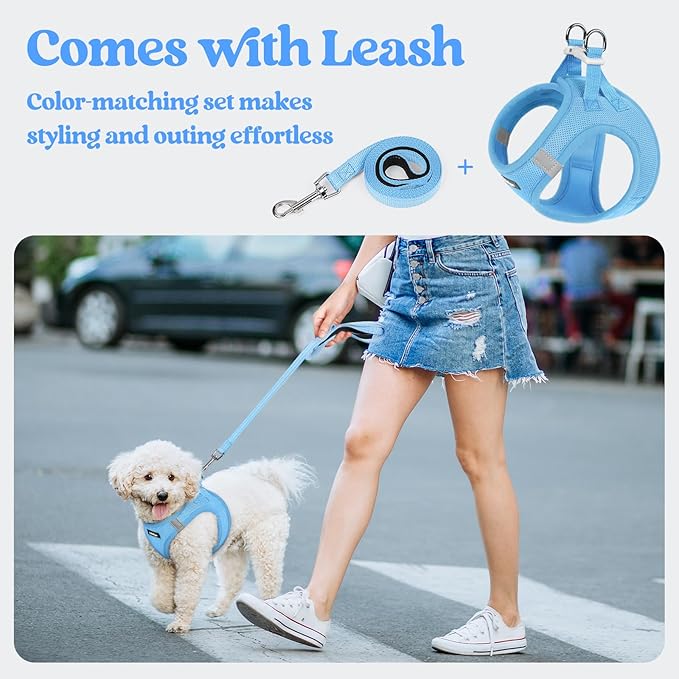 rabbitgoo Dog Harness Small Sized and Leash Set, Step-in Puppy Pet Vest | Light, Soft, Breathable Air Mesh, Easy on and Remove with Hook & Loop, Secure Reflective for Walking, Blue XS