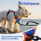 rabbitgoo Dog Harness, No Pull for Small Dogs with 2 Leash Clips, Pet Vest | No Choke with Handle, Adjustable Soft Padded, Reflective, Easy Control for Walking, Blue & Orange, X-Small