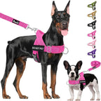 Lukovee No Pull Dog Harness and Leash Set - Adjustable Soft Padded Vest with Front Clip for Easy Control, Reflective Durable Harness for Safe Daily Training Walking for Medium Large Dogs (L, FU)