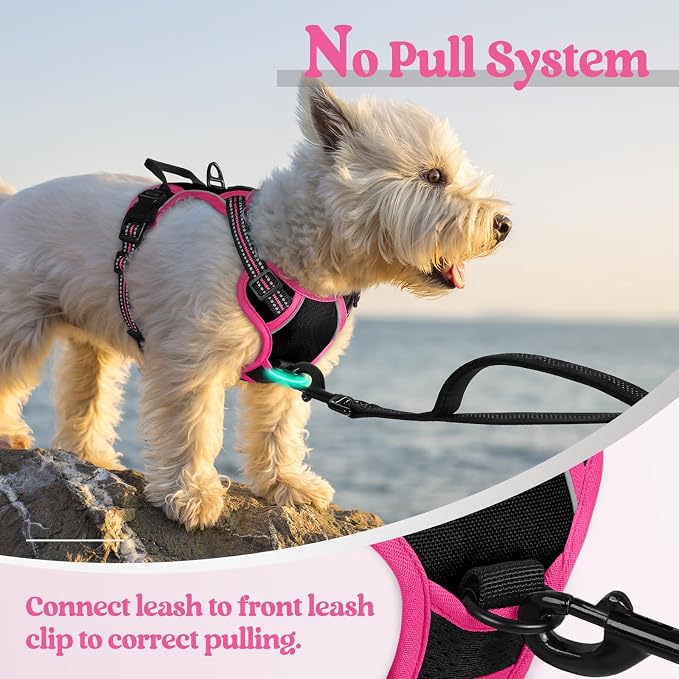 rabbitgoo Dog Harness, No Pull for Small Dogs with 2 Leash Clips, Pet Vest | No Choke with Handle, Adjustable Soft Padded, Reflective, Easy Control for Walking, Black & Hot Pink, X-Small