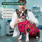 Kuoser Dog Recovery Suit After Surgery, Spay Neuter Surgical Suit for Dogs | Post Surgery Anti-Licking Dog Onesie Protects Wounds and Incisions, E-Collar & Cone Alternative Bodysuit for Female Male Dogs
