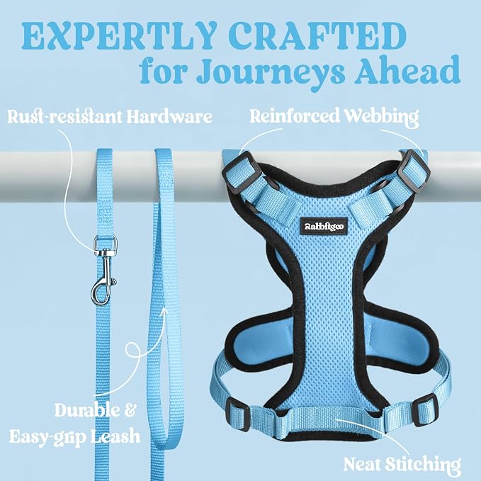 rabbitgoo Cat Harness and Leash Set, Escape Proof Vest, Light Blue | Soft Breathable Mesh, Easy Adjustable Fit, Snap Buckles, Sturdy Clip, Reflective Strips, for Kittens & Small Cats Walks, Xxs