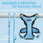 rabbitgoo Cat Harness and Leash Set, Escape Proof Vest, Light Blue | Soft Breathable Mesh, Easy Adjustable Fit, Snap Buckles, Sturdy Clip, Reflective Strips, for Kittens & Small Cats Walks, Xxs