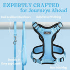 rabbitgoo Cat Harness and Leash Set, Escape Proof Vest, Light Blue | Soft Breathable Mesh, Easy Adjustable Fit, Snap Buckles, Sturdy Clip, Reflective Strips, for Average Cats Walks, S