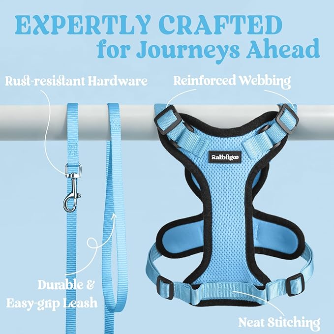 rabbitgoo Cat Harness and Leash Set, Escape Proof Vest, Light Blue | Soft Breathable Mesh, Easy Adjustable Fit, Snap Buckles, Sturdy Clip, Reflective Strips, for Small & Average Cats Walks, Xs