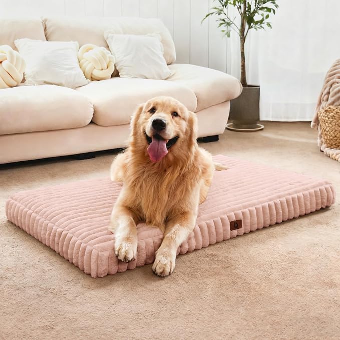 Medium Dog Bed Orthopedic Foam with Waterproof Lining | Egg crate foam for joint support. Soft plush surface. Non-slip bottom. Removable & machine washable cover. OEKO-TEX certified