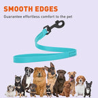 Dogline Biothane Waterproof Dog Leash Strong Coated Nylon Webbing with Black Hardware Odor-Proof Easy to Clean High Performance for Small or Large Dogs Made in USA 2 ft Lead, Sky Blue