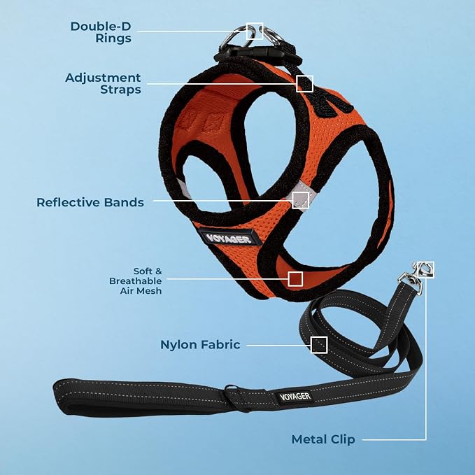 Best Pet Supplies Voyager Step-in Air All Weather Mesh Harness and Reflective Dog 5ft Leash Combo with Neoprene Handle, for Small, Medium and Large Breed Puppies - Orange/Black Trim, Medium