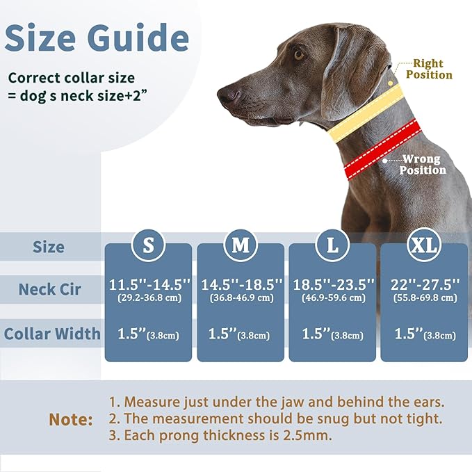 Mayerzon Martingale No Pull Collar for Medium Large Dogs | Orange, L | Patented Anti Pull Dog Collar with Buckle for Walking Training, Reflective Stitching, Neoprene Padding, Adjustable, Sturdy