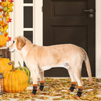 KOOLTAIL Thanksgiving Anti Slip Dog Socks for Hot/Cold Pavement to Prevent Licking Paws, Fall Dog Boots&Paw Protector with Grippers for Hardwood Floors, Traction Booties for Small Medium Large Dog, SM