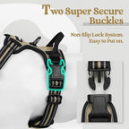 rabbitgoo Dog Harness, No Pull for Small Dogs with 2 Leash Clips, Pet Vest | No Choke with Handle, Adjustable Soft Padded, Reflective, Easy Control for Walking, Beige, Small