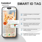 2 Pack Stars and Moon, Solid & Safe Safety Plaid Kitten Collars with QR ID Tag for Girl Boy for Cats, Pet Collar, Breakaway Cat Collar,Silent, Lightweight,Durable QR Code Pet ID Tags (Black&Blue)