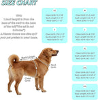Dog Cooling Sun Protection Suit, Outdoor Fashion Onesie, UPF 50+ Lightweight Breathable Quick-Dry, Anti-Dirt & Anti-Shedding, Zipper Design for Easy Dressing Undressing (Cyan, Medium)