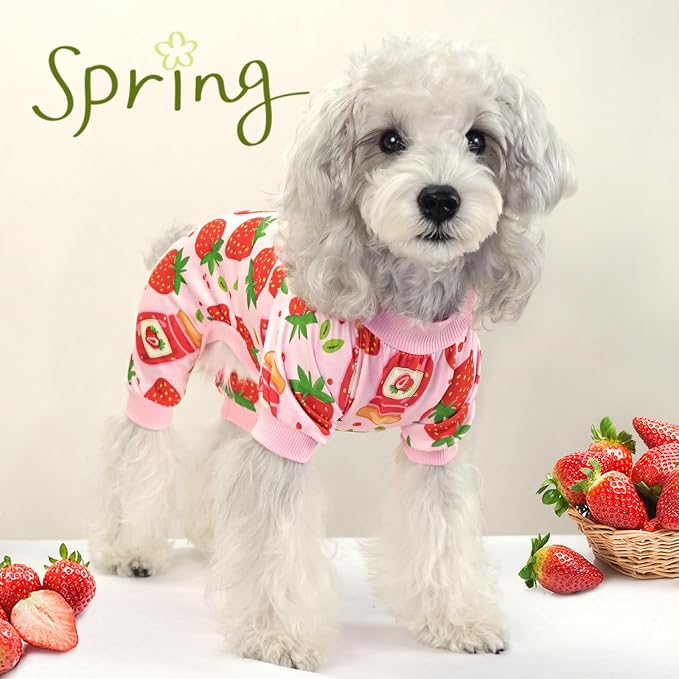 XPUDAC 4 Pack Dog Pajamas for Small Dogs Girl Boy Soft Stretchy Pjs Summer Puppy Clothes for Doggie Pet Outfits, Medium