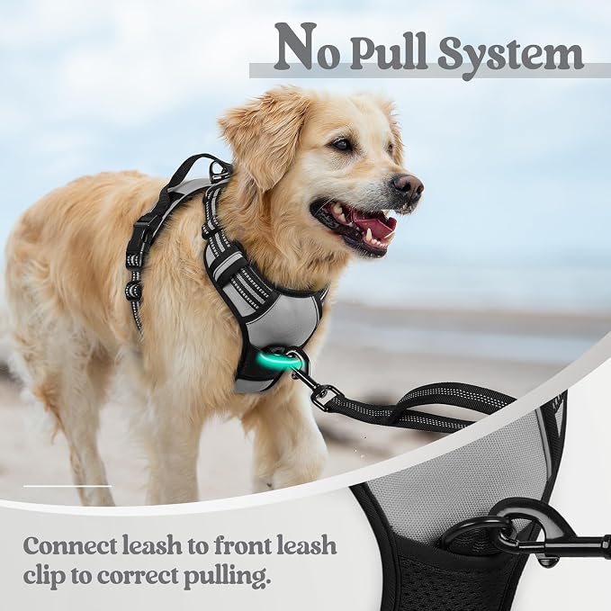 rabbitgoo Dog Harness, No Pull for Small Dogs with 2 Leash Clips, Pet Vest | No Choke with Handle, Adjustable Soft Padded, Reflective, Easy Control for Walking, Gray, Small