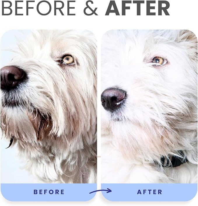 Lillian Ruff PRO Formula Blueberry Waterless Dog Shampoo & Berry Blue Brightening Conditioner - No-Rinse Odor Eliminator & Hydrating Whitening Conditioner Detangles, Restores Skin, Softness & Shine