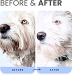 Lillian Ruff PRO Formula Berry Blue Brightening Pet Shampoo - Ultra-Hydrating Professional Whitening Dog Shampoo, Vivid Show-Quality Coat Enhancer, Tear Stain & Odor Eliminator, Vitamin B5, 128oz+Pump