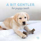 Benebone Puppy Maplestick Dog Chew Toy, Made in USA, Real Maple Wood Flavor, Small, Brown