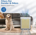 Vital 200S Pet Care Replacement Filter for LEVOIT Vital 200S-P Air Purifier | 3-in-1 with Activated Carbon Vital 200S Filter for Pet Dander, Pet Odors, Smoke, Pollen, Vital 200S-RF-PA, 2 Pack, Yellow