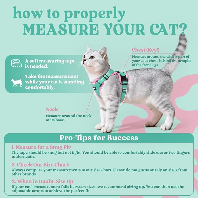 rabbitgoo Cat Harness and Leash Set, Escape Proof Vest, Green & Pink | Soft Breathable Mesh, Easy Adjustable Fit, Snap Buckles, Sturdy Clip, Reflective Strips, for Average Cats Walks, S