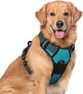 rabbitgoo Dog Harness, No Pull for Large Dogs with 2 Leash Clips, Pet Vest | No Choke, Adjustable, Breathable Padded, 2 Lead Rings, Reflective, Easy Control for Walking Training, XL, Teal