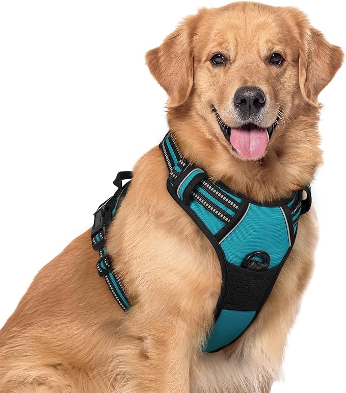 rabbitgoo Dog Harness, No Pull for Large Dogs with 2 Leash Clips, Pet Vest | No Choke, Adjustable, Breathable Padded, 2 Lead Rings, Reflective, Easy Control for Walking Training, XL, Teal