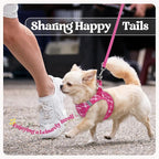rabbitgoo Dog Harness Small Sized and Leash Set, Step-in Puppy Pet Vest | Light, Soft, Breathable Air Mesh, Easy on and Remove with Hook & Loop, Secure Reflective for Walking, Rose Red Plaid XS