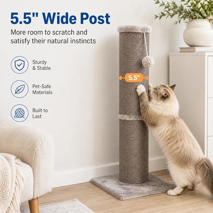 Cat Scratching Post with 5.5 Inch Diameter Sisal Post, 32 Inch, Grey | Extra-Wide Scratch Post, Wide Stable Base, Ideal Scratcher for Indoor Cats Adults to Stretch and Protect Furniture