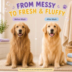 Oatmeal Dog Shampoo and Conditioner for Itchy Skin Relief 16 fl oz | 5-in-1 Puppy Shampoo for Sensitive Skin | Clean, Condition, Deodorize & Detangle | Dog Wash for All Breeds | ALFIE'S CHOICE