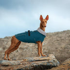Lelepet Dog Coats for Large Dogs Waterproof Dog Jacket with Adjustable Fit | Winter Jacket Reflective Pet Fleece Vest Windproof Cold Weather Coats with Adjustable Buckle & Leash Hole, Dark Green, XXL
