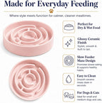Ceramic Slow Feeder Dog Bowl 1.5 Cup Puzzle Dish for Small Medium Dogs | Glazed ceramic maze bowl with 1.5-cup capacity for dry or wet food, sized for small and medium dogs