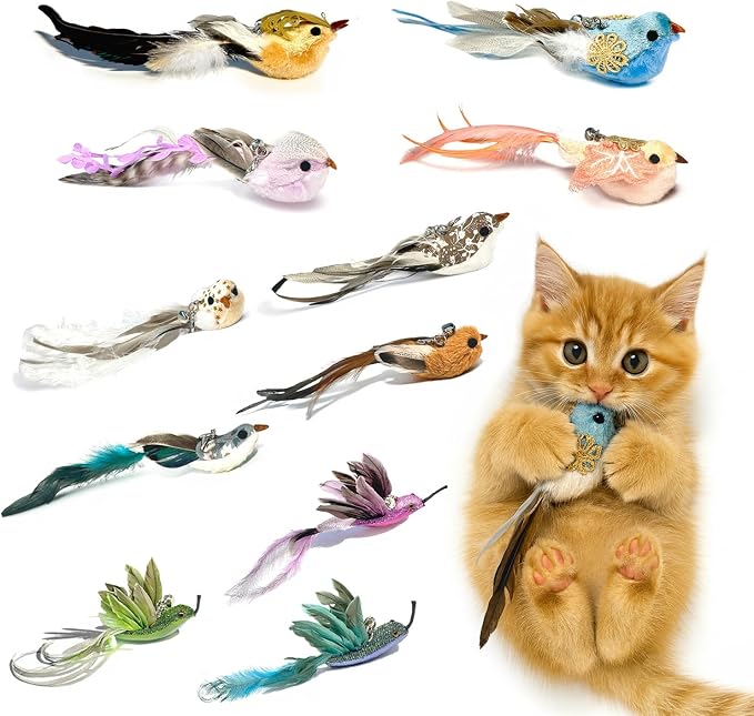 11PCS Realistic Bird Cat Toy Refills – Handmade Feather Cat Toys with Bell, Clip-on Cat Wand Attachments – Interactive Cat Toys for Indoor Cats, Refill Set for Wand Toy or Cute Home Décor