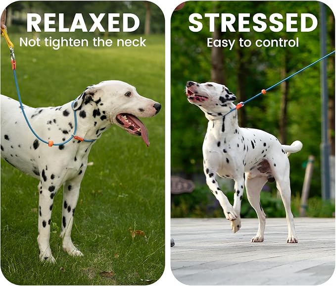 HowGo Slip Lead Dog Leash, 360°Swivel Anti-Tangle (MintGreen 5.5FT) | Traffic Handles Heavy-Duty Training Fur Stuck Free,Lightweight Aluminum Nylon,No-Pull Walking,All Breeds, Dog Trainer