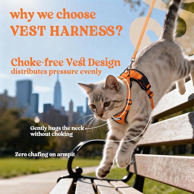 rabbitgoo Cat Harness and Leash Set, Escape Proof Vest, Orange | Soft Breathable Mesh, Easy Adjustable Fit, Snap Buckles, Sturdy Clip, Reflective Strips, for Average Cats Walks, S