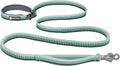 Ruffwear, Roamer Bungee Dog Leash for Running, Biking or Hiking, Can be Used Hand-Held or Hands-Free, River Rock Green, 5.5'-7'