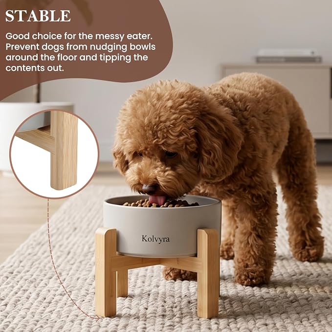 6" Elevated Ceramic Dog Bowl, Anti-Vomiting 23oz for Small Dogs | Premium Food-safe Ceramic with Anti-slip Wood Stand,Dishwasher Safe,Ergonomic Height Relieves Neck Strain,Grey