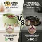Ant Not Cross Elevated Cat Bowls Mess Proof-2 Food Grade Glass Bowls & 1 Lids- No Spill Cat Food and Water Feeding Station for Cats&Puppy Indoor & Outdoor,No Whisker Fatigue Dish,Yellow