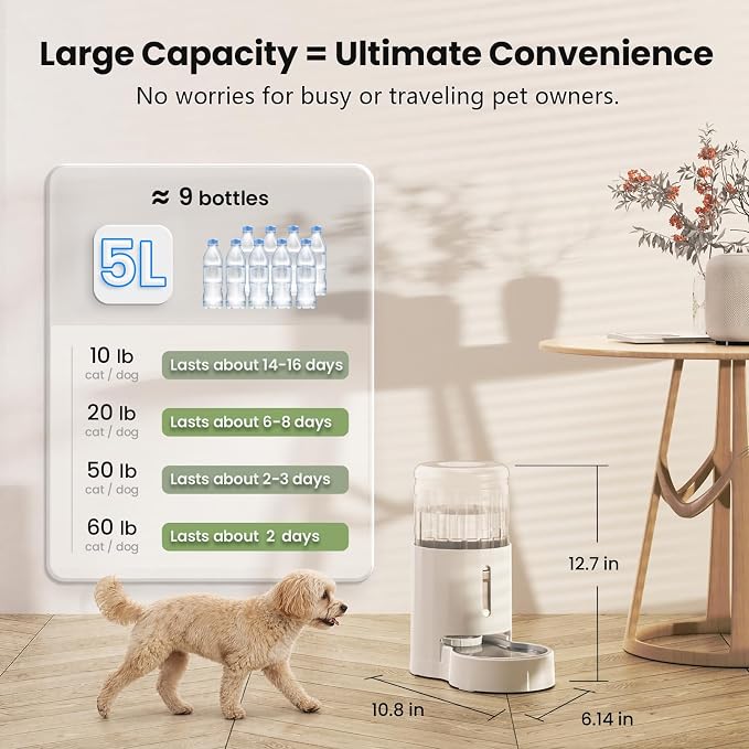 CZPET Automatic 5L Filter Dog and Cat Water Dispenser (White) | Gravity Waterer with Stainless Steel Bowl, Large Capacity and Drinking Area Noise-Free for Pets