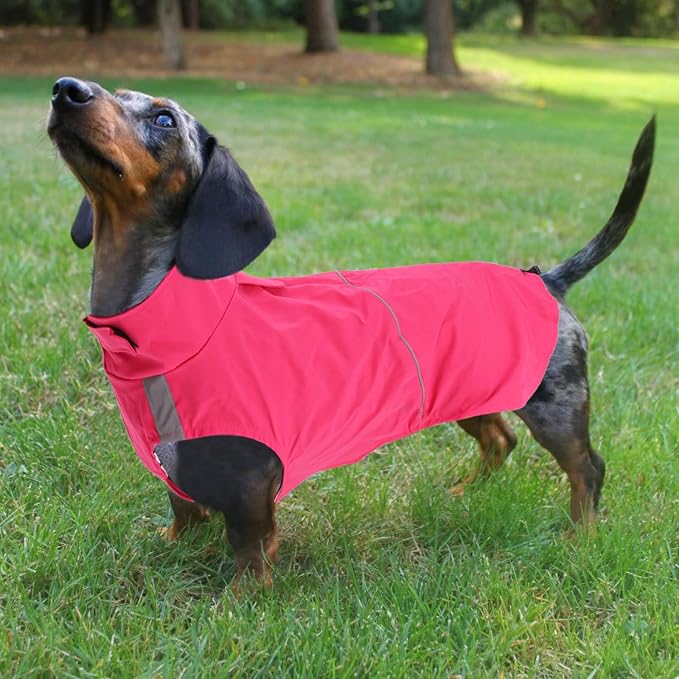 Dachshund Raincoat Weiner Dog Clothes Suitable for Dachshunds Corgi, Weiner, Dog Waterproof Coat with Reflective Stripe underbelly Protection - Pink - S