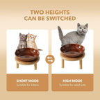 Havniva Elevated Cat Bowls, Ceramic Cat Bowl with Bamboo Stand Wide Opening | 5.7” Raised Cat Food Bowls, Whisker Friendly Cat Dish, Anti-Slip Cat Water Bowls, Shallow Cat Bowls, Cat Food & Water Bowl