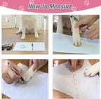 EXPAWLORER 6PCS Anti-Slip Dog Socks to Prevent Licking Paws,Dog Shoes for Hot Pavement,Best Paw Protector Traction Control on Hardwood Floor,Dog Booties for Puppy Small Medium Large Senior Dogs