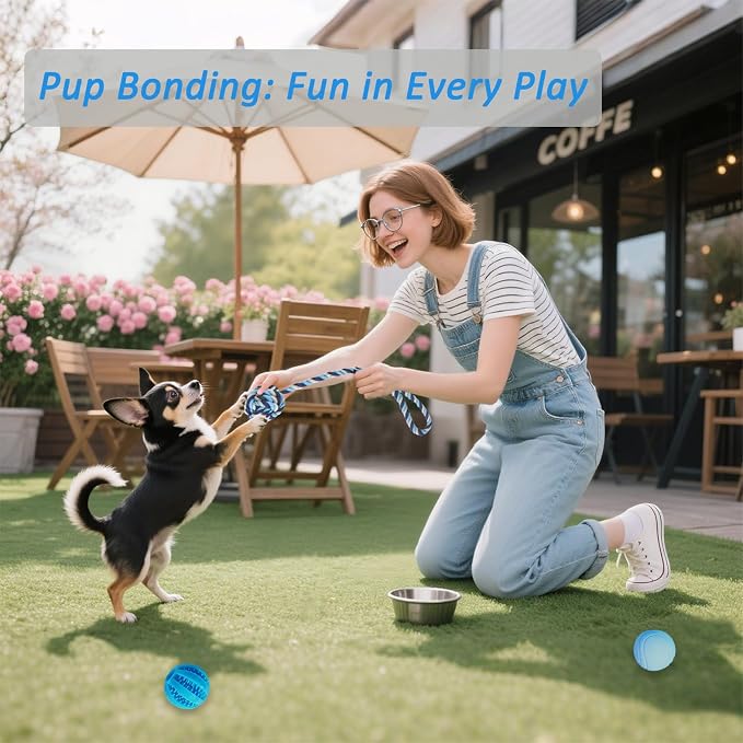 20 Pack Puppy Teething Chew Toys for Small Dogs, Bulk Dog Toys for Puppies | Mixed Blue Rubber Rings, Ropes & Balls, Puppy Teething & Dental Care, Relieves Puppy Boredom, Stops Destructive Chewing