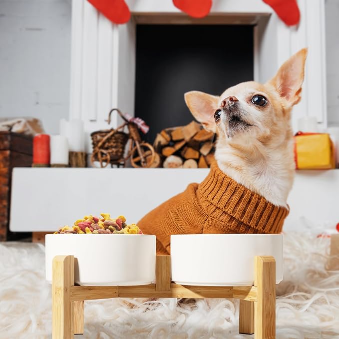 Elevated Ceramic Dog Bowl, 3.6 Cups Dog Food and Water Bowl Set with Stand | 6.1'' Double Dog Feeding Dishes, Non-Slip Raised Dog Feeder for Small and Medium Breeds, 28.74 OZ / 850 ML, White