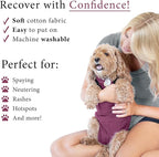 BellyGuard Dog Surgery Recovery Suit, Post-Op Dog Recovery Suit for Female Spay & Male Neuter, Comfy Onesie for Pets, Surgical Body Cover for Canine Healing Support